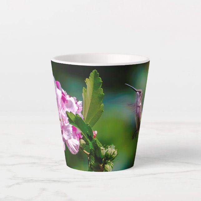 Taza De Café Latte Hummingbird - Fotografía original (Anverso)