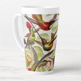 Taza De Café Latte Hummingbirds por Ernst Haeckel