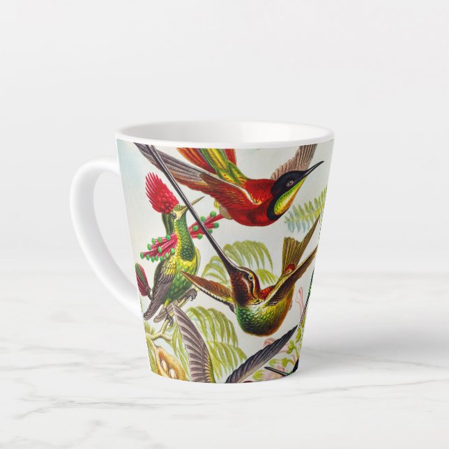 Taza De Café Latte Hummingbirds por Ernst Haeckel (Ángulo izquierdo)