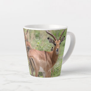 Taza De Café Latte Impala en el delta del Okavango