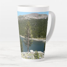 Lago Tenaya en el Parque Nacional Yosemite