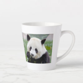 Taza De Café Latte latte mug Photo gigante panda , animales . latte m