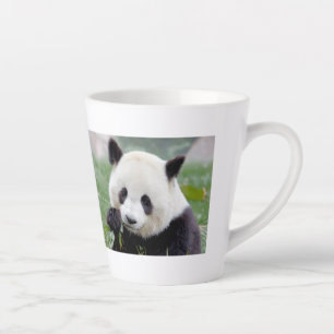 Taza De Café Latte latte mug Photo gigante panda , animales . latte m