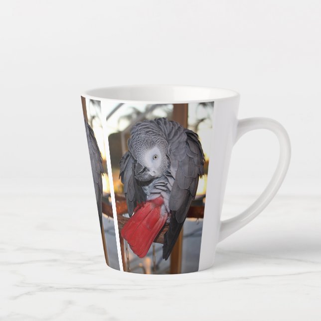 Taza De Café Latte Loro gris africano flexible del Congo con cola roj (Derecha)