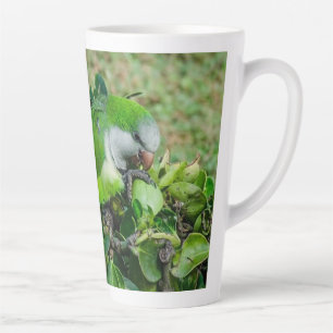 Taza De Café Latte Loro verde