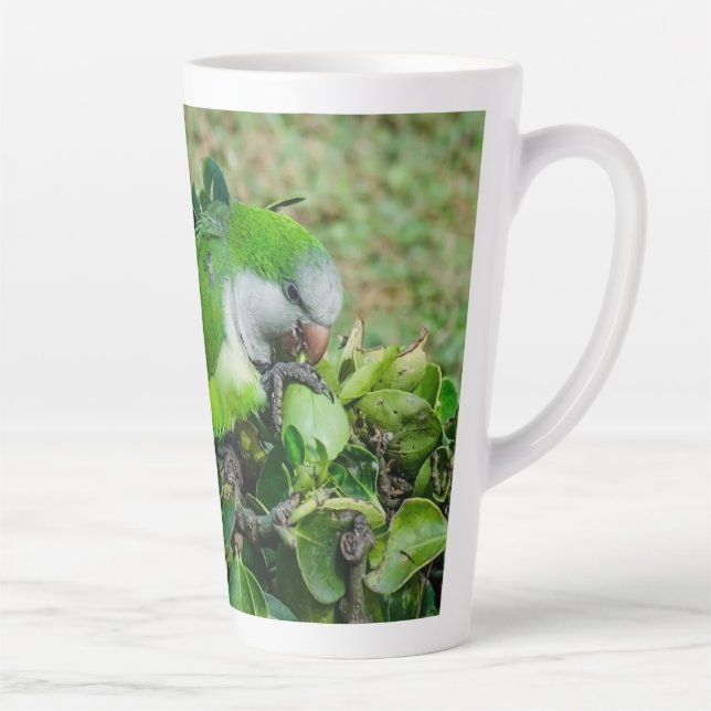 Taza De Café Latte Loro verde (Derecha)