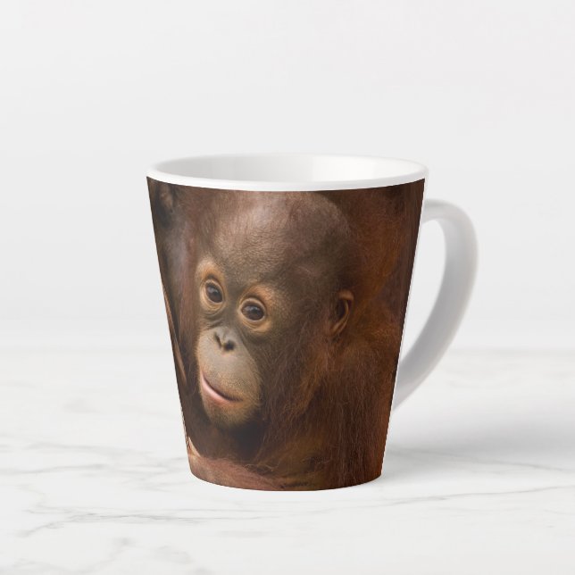 Taza De Café Latte Madre y bebé de Orangutan en el zoológico (Ángulo derecho)