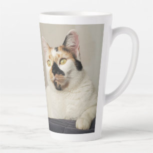 Taza De Café Latte Mejor foto de mamá de gato