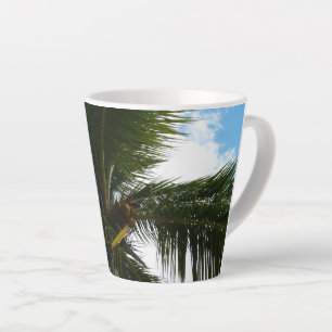 Taza De Café Latte Mirando hacia la naturaleza tropical de las palmer