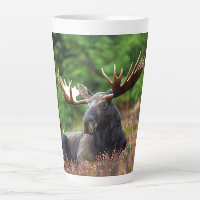 Taza De Café Latte Moose (Anverso)