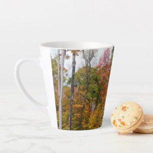 Taza De Café Latte Otoño en el bosque Fotografía colorida de otoño