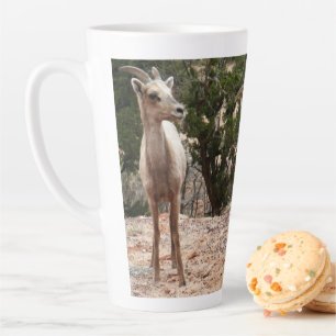 Taza De Café Latte Ovejas divertidas de cuernos grandes en el Parque