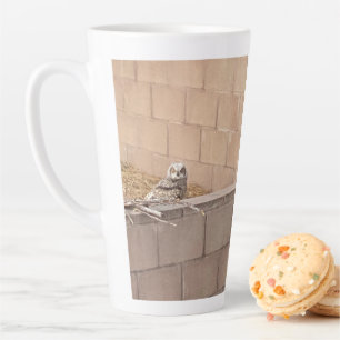 Taza De Café Latte Owl 🦉