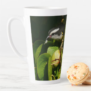 Taza De Café Latte Pájaro Mielero Comiendo Fotografía Tropical