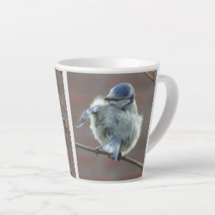 Taza De Café Latte Pájaros pequeños colocan latte