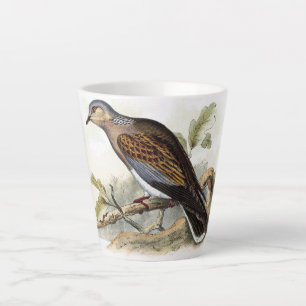 Taza De Café Latte Paloma Streptopelia Pintura Naturaleza Pájaros Art