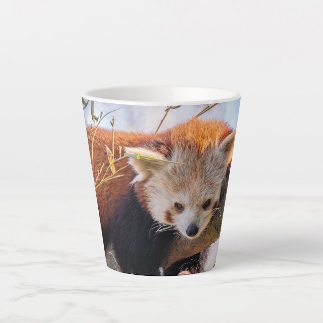 Taza De Café Latte Panda rojiza perezosa (Anverso)