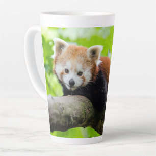 Taza De Café Latte Panda rojo