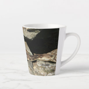Taza De Café Latte Pastelería en el Parque Nacional de Shenandoah