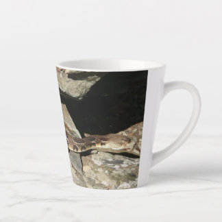 Taza De Café Latte Pastelería en el Parque Nacional de Shenandoah