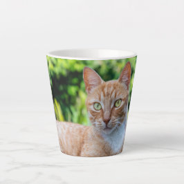 Taza De Café Latte Pequeño gatito dulce