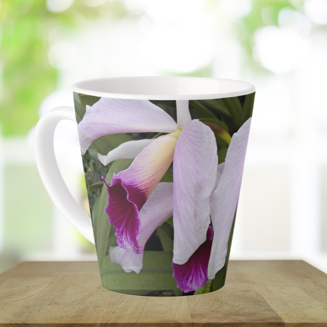 Taza De Café Latte Purple Cattleya Orchids Floral (In Situ)
