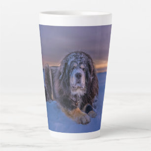 Taza De Café Latte Relajándose en Hielo