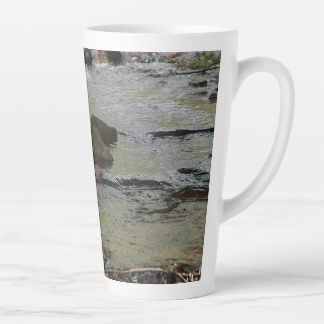 Taza De Café Latte Río Water Coffee Mug (Derecha)