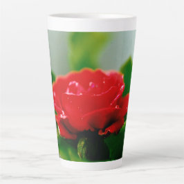 Taza De Café Latte Rosa roja matutina cubierta de rocío