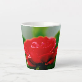 Taza De Café Latte Rosa roja matutina cubierta de rocío