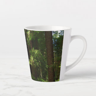 Taza De Café Latte Secuoyas y ferris en el Parque Nacional Redwood