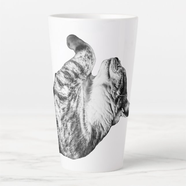 Taza De Café Latte Siesta de especias de calabaza (Anverso)