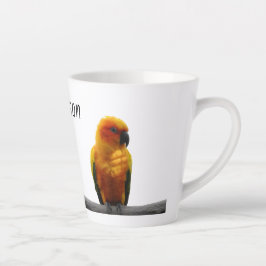 Taza De Café Latte Sun Conure Wildlife Art Nombre personalizado Anima