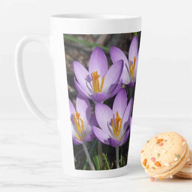 Taza De Café Latte Sunny Purple Crocuses (In situ)