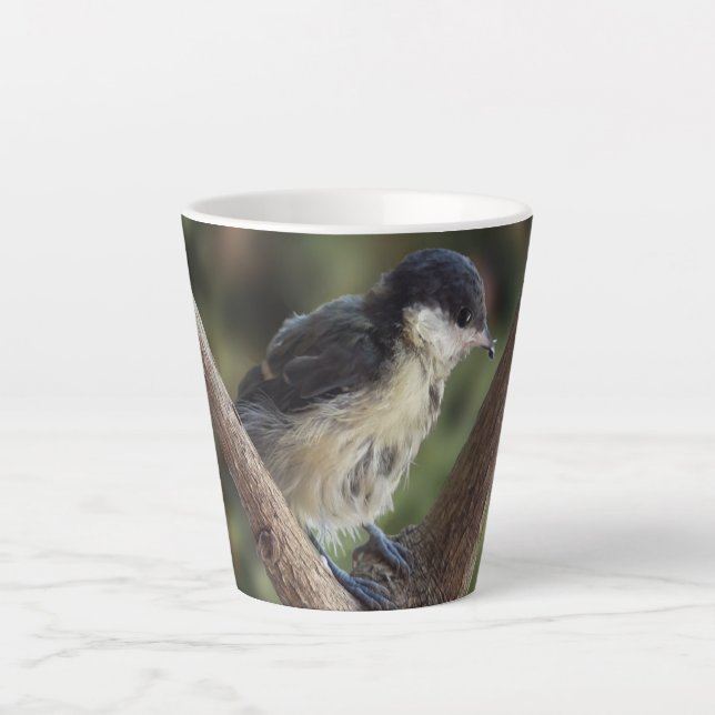 Taza De Café Latte Tidi my Bird the Parus Major (Anverso)