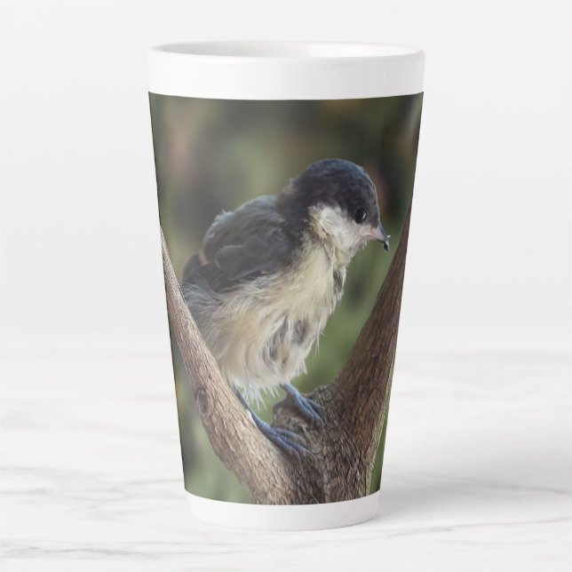 Taza De Café Latte Tidi my Bird the Parus Major (Anverso)