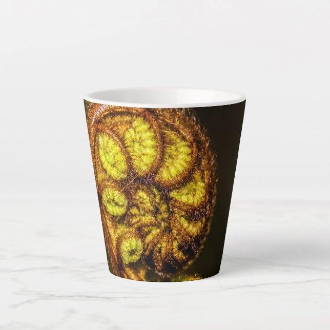 Taza De Café Latte Young Fern Leaves (Anverso)