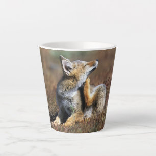 Taza De Café Latte Zorro Gris Joven en el Parque Nacional Torres Del