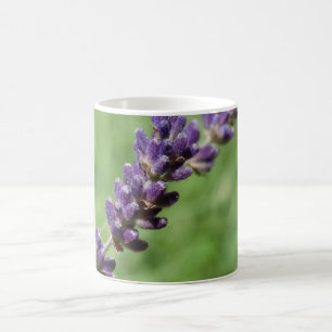 Taza De Café Lavender Stalk Photo Mug