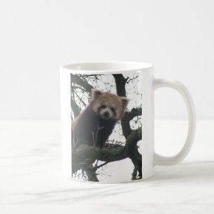 Taza De Café le veo asaltar