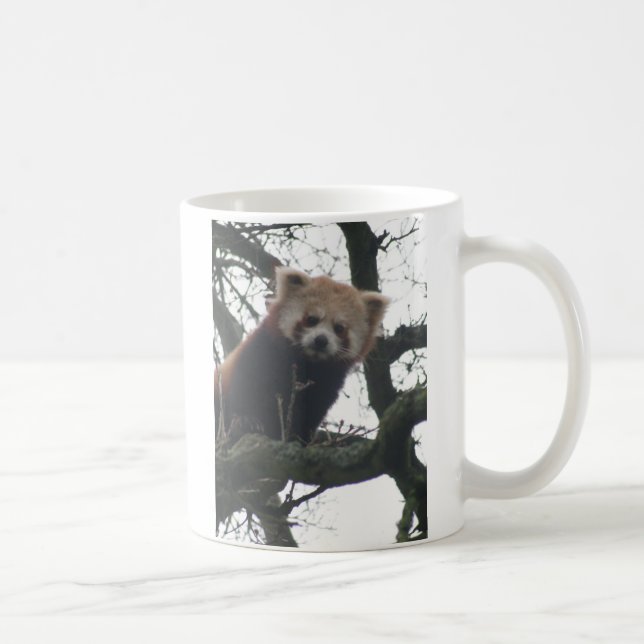 Taza De Café le veo asaltar (Derecha)