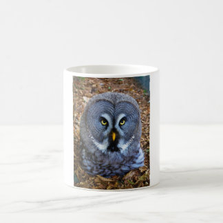 Taza De Café Lechuza Estrix Nebulosa