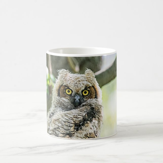 Taza De Café Lechuza Horneada (Centro)