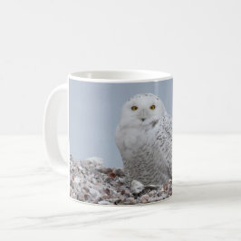 Taza De Café Lechuza nevada en conchas
