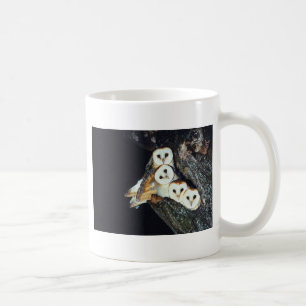 Taza De Café Lechuzas comunes en un árbol