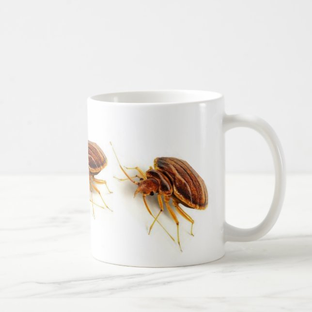 Taza de café - lectularius de la chinche (insecto (Derecha)