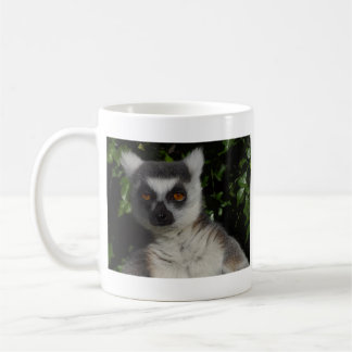 Taza De Café Lemur el mirar fijamente