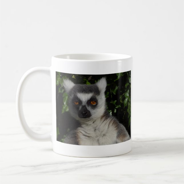 Taza De Café Lemur el mirar fijamente (Izquierda)