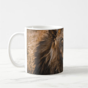TAZA DE CAFÉ LEÓN EN EL PARQUE NACIONAL DE ETOSHA