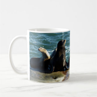 Taza De Café Leones del mar de San Diego